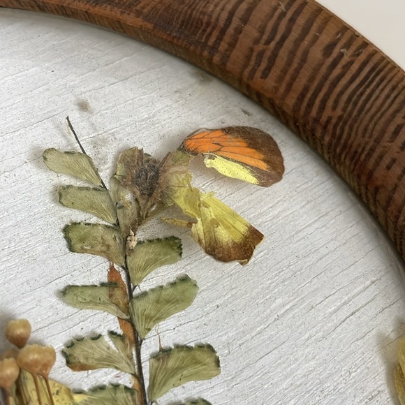 •| dried floral art - Picture 12 of 15